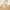 Beige, variant on Todaioua Carpet Tiles Peel and Stick, 19.68” x 19.68” Self Adhesive Carpet Floor Tile, Soft Padded Carpet Tiles, Easy Install, for Bedroom Living Room Indoor Outdoor Bronze