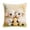 D, variant on Weloille Easter Pillow Cover 1.48 x 1.48 ft 1 Piece, Soft Printed Throw Pillowcase, Wear-Resistant Hidden Zipper Cushion Cover, Suitable for Sofa Bed Living Room Patio No Pillow Core