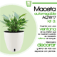 thumbnail image 2 of Kit3 Maceta autorregable AQ1817 Decorativa Redonda Centro de Mesa - Pequeña Moderna Interior Smart Garden Blanco Mate, 2 of 5
