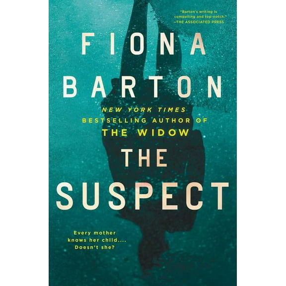 The Suspect (Hardcover) by Fiona Barton