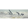 thumbnail image 2 of Nawrocke, Bruce 18x9 White Modern Wood Framed Museum Art Print Titled - Pelican Panel I, 2 of 4