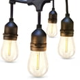thumbnail image 1 of Cadena de luces LED adicionales para exteriores de 24 pies con bombillas Edison, 1 of 8