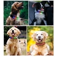 thumbnail image 4 of Collier pour Chien à LED, Collier pour Chien Rechargeable Lumineux, Programmable BT Contrôlé par Application, Texte et Graphiques Personnalisés, 4 of 8