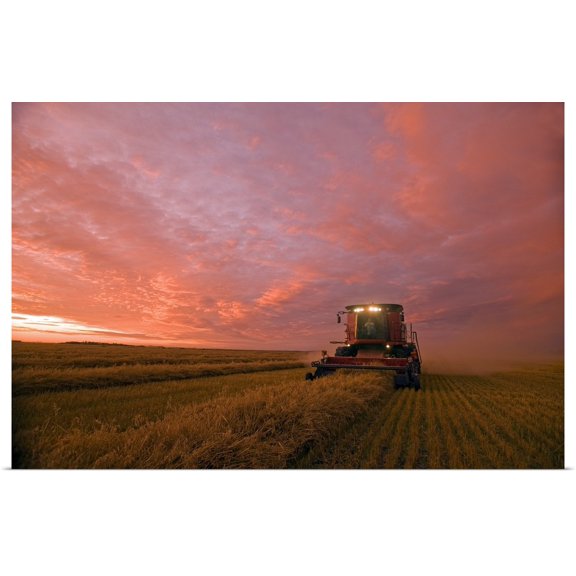 Great BIG Canvas | "Farmer Harvesting Oat Crop With A Combine At Dusk, Manitoba, Canada" Art Print - 24x16