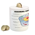 thumbnail image 2 of Science Piggy Bank, Microbiology Theme Animal Cell Structure Genetic Research Study Science, Ceramic Coin Bank Money Box for Cash Saving, 3.6" X 3.2", Multicolor, by Ambesonne, 2 of 4