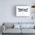 thumbnail image 3 of Daphne Brissonnet 'Outdoor Beauties IV Color' Canvas Art, 3 of 3
