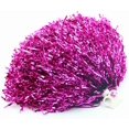 thumbnail image 1 of 2 pompones de 50 g y 11,8 pulgadas para porristas, accesorios para fiestas deportivas, bailes, fiestas, eventos corporativos y de formación de equipos universitarios, 1 of 5