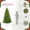 thumbnail image 6 of Puleo International 7.5 Pre-Lit Teton Pine Artificial Christmas Tree with 600 Clear UL-listed Lights, 6 of 6