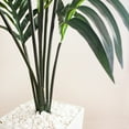 thumbnail image 3 of Nearly Natural 54" Kentia Palm Artificial Tree in White Tower Planter, 3 of 6