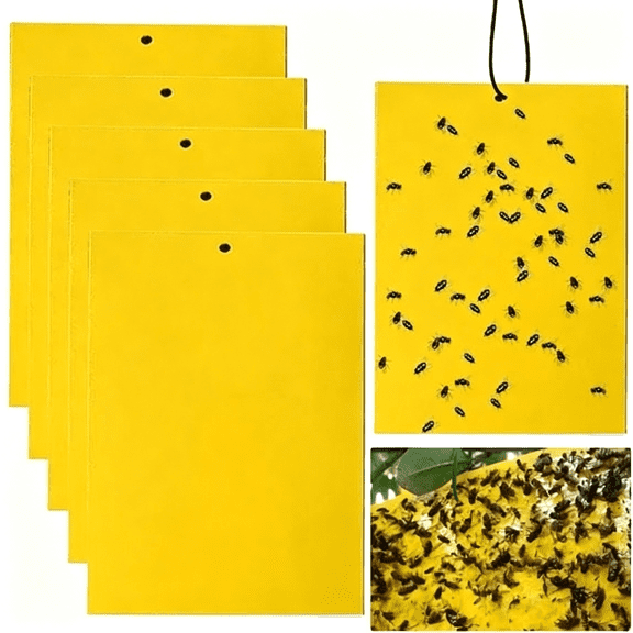 BPPEG 30 Pack Yellow Sticky Traps, Gnat Trap, Gnat Killer, Fruit Fly Paper Dual-Sided, Fly Traps Indoor Sticky, Sticky Traps Insects, Indoor/Outdoor Indoor Fly Trap