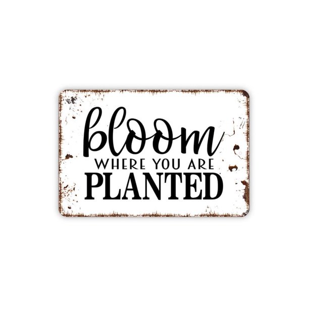 Letrero de metal con texto en inglés "Bloom Where You Are Planted", divertido letrero de metal para jardín, estilo granja, moderno y contemporáneo, para pared, tamaño: 16 x 12 pulgadas