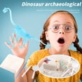 thumbnail image 3 of CNKOO Kit Kit Modèle Classique de Dinosaure Excavation Squelette de Dinosaure Éducation, 3 of 5