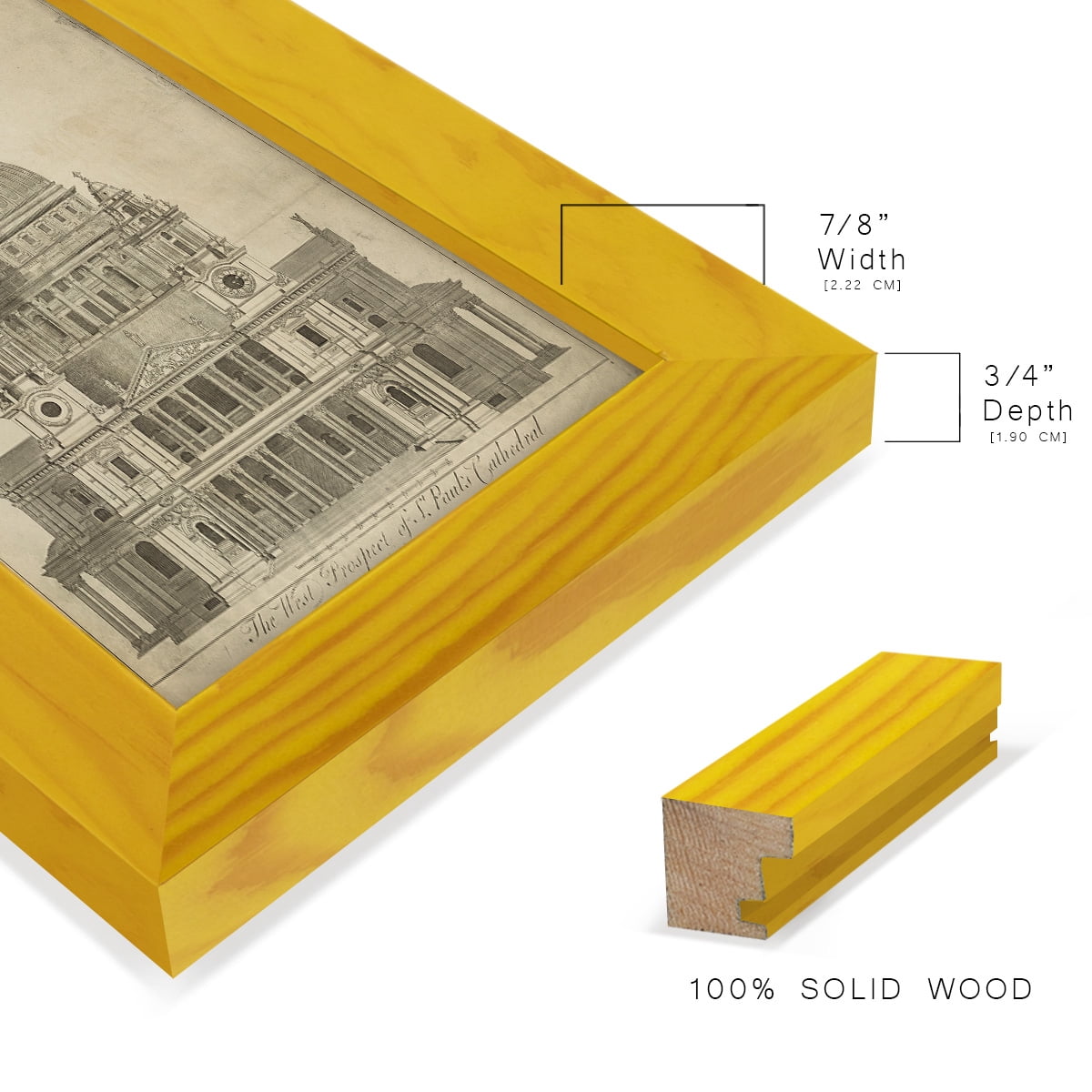 St. Paul's Cathedral -Framed Print w/glass-Sunflower Yellow