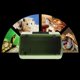 thumbnail image 5 of Caja Para Transporte Accesorios de Doemsticos Resistente Verde Gloria Terrario de reptiles, 5 of 9