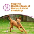 thumbnail image 3 of Zesty Paws Mussel Hip & Joint Bites Chicken Flavor Dog Supplement, 90 Count, 3 of 11