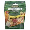 Kaytee Foods Kt Fd Yogurt Bird Trop Dips 3.5 Oz