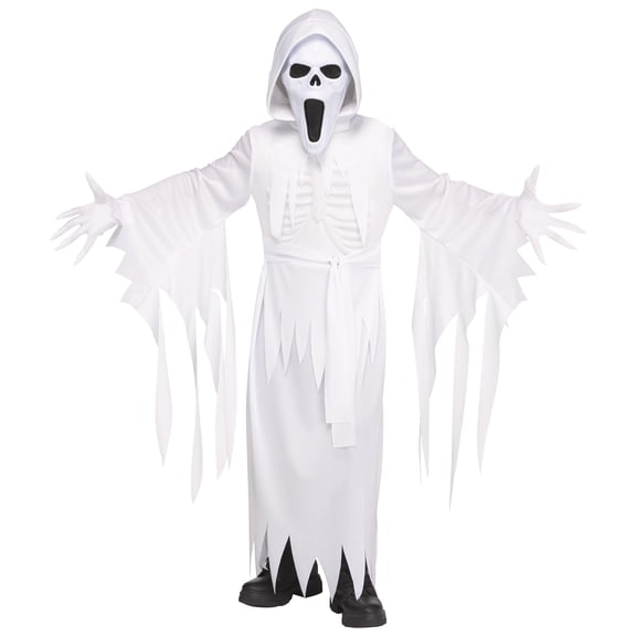 Banshee Ghost, Halloween Costume for Children, Boy's Size L (10/12), by Way to Celebrate