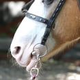 thumbnail image 2 of 1Pc Mouth Horse Tack Horse Bit Stainless Steel Horse Bit Full Cheek Snaffle Bit Copper Mouth Horse Tack 12*18cm, 2 of 9