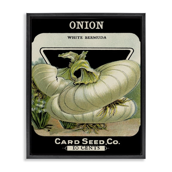 Stupell Industries Shabby Chic Vintage Garden Onion Black Floating Frame Canvas Art, 17 x 21, by Lil' Rue