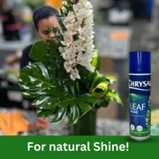 Pokon Chrysal Leaf-Shine 6 oz Spray