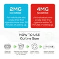 thumbnail image 5 of Quitine Nicotine Gum 2mg Mint, 240 Count, Stop Smoking Aid, 5 of 6