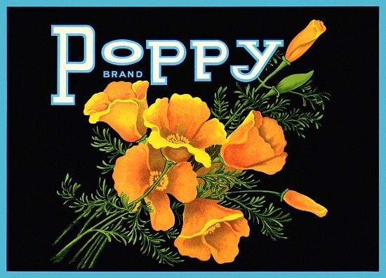 Poppy Flowers Label