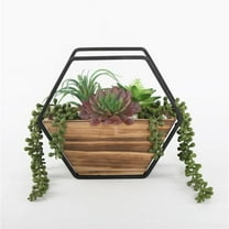 Flora Bunda TS1882E 11 in. Hexagon Wood Plus Metal Wall Succulent Mix