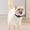 A, variant on Fokuz Stay Connected With Your Furry Advanced Pet Locator Device Real Tracking & Alerts For Peace Of Mind