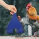 thumbnail image 3 of Bolsa de transporte para pollos, porta pollos, bolsa porta pollos, bandolera, bolsa de mano para atrapar gallos, 3 of 7