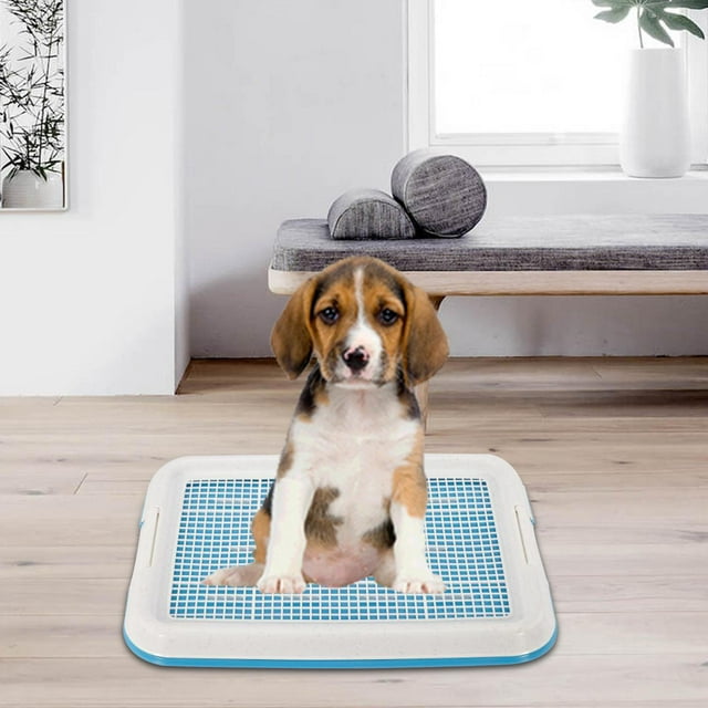 Bandeja de entrenamiento para inodoro para perros, bandeja para orinal para perros con pestillo seguro, caja de arena para perros de interior de 18.5 Azul Yinane Bandeja para ir al baño