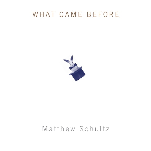 What Came Before (Paperback)