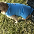 thumbnail image 7 of YUEHAO Dog Sweaters for Small Dogs, Dog Clothing In Autumn and Winter Pet Fleece Clothing with Vest On Both Sides Pet Dog Clothes (Blue, S), 7 of 7