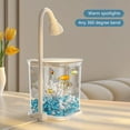 thumbnail image 4 of Inerposs Desktop Fish Tank, High Transparency Glass Aquarium, Small Lazy Aquascape, Night Light Gift, Perfect for Home Decoration and Office Use, 4 of 5