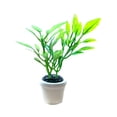 thumbnail image 2 of 1/12 Mini Plants, Mini Dollhouse Flowerpot, Doll House Mini Plant Tiny Bonsai Model Pretend Play Artificial Plantfor Fairy Garden Diorama CUTICAT Casa de muñecas en maceta, 2 of 8