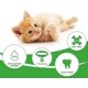 thumbnail image 2 of Cat Toothbrush Catnip Toy,Interactive Rubber Dental Care for Pet Kitten Kitty,Crayfish-Shaped Safe Chewing Toy Tooth Cleaning Durable Cat Toy-Green&Bl, 2 of 5