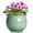 Green, variant on Ordivic 6 Inch Black Ceramic Self Watering African Violet Pot with Absorbent Inner Pot – Round Planter for Indoor Plants, Home Decor, Gift for Plant Lover