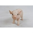 thumbnail image 2 of Hi-Line Gift Ltd Stanading Baby Pig, 5", 2 of 2