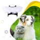 thumbnail image 3 of Disfraz de ángel Matsuzay alta gama para gatos Cosplay Halloween, 3 of 6