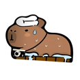 thumbnail image 2 of Capybara Bath Rug Anti Slip Bath Mat Bath Tub Floor Carpet Corner Shower Mat A, 2 of 8