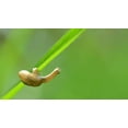 thumbnail image 2 of 1474747474747, 2 of 5