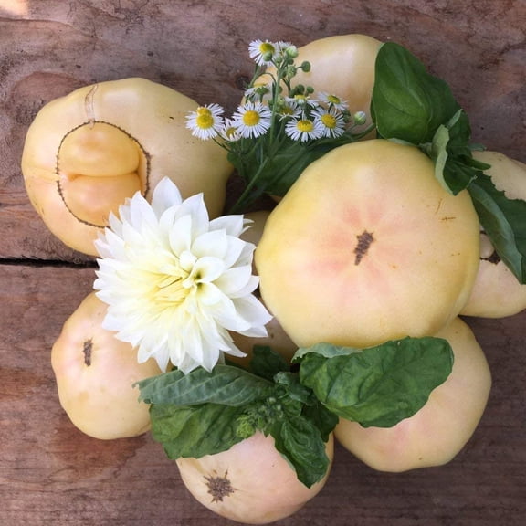 Snowball Heirloom Tomato Premium Seeds Packet