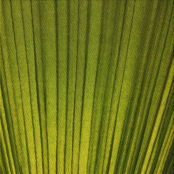 Ahgly Company Machine Washable Indoor Square Transitional Pistachio Green Area Rugs, 4' Square