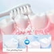 thumbnail image 4 of Polvo dental refrescante para la cavidad bucal, 50 g, para limpieza dental., 4 of 5