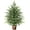 2FT with String Light, variant on Lyacmy 2ft Tabletop Christmas Tree Potted Faux Norfolk Pine for Indoor, Artificial Topiary Cedar Trees for Outdoor, Fake Cypress Trees Plants