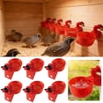 thumbnail image 1 of Tong Automatic Chicken Waterer Cups Farming Design Drinking Bowls For Poultry Goose Bunny Bird With Installing Drill, 1 of 6