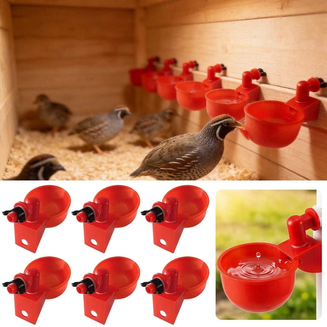 Tong Automatic Chicken Waterer Cups Farming Design Drinking Bowls For Poultry Goose Bunny Bird With Installing Drill