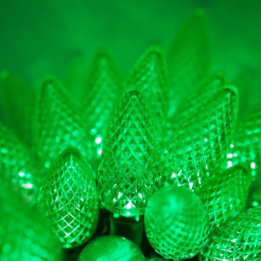 Wintergreen Lighting C9 Green LED Christmas Lights, 25-Count photo 5