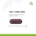 thumbnail image 4 of Terry Naturally ViraPro - 60 Tablets - Powerful Immune Support Supplement, With Elderberry (Sambucus, 4 of 7