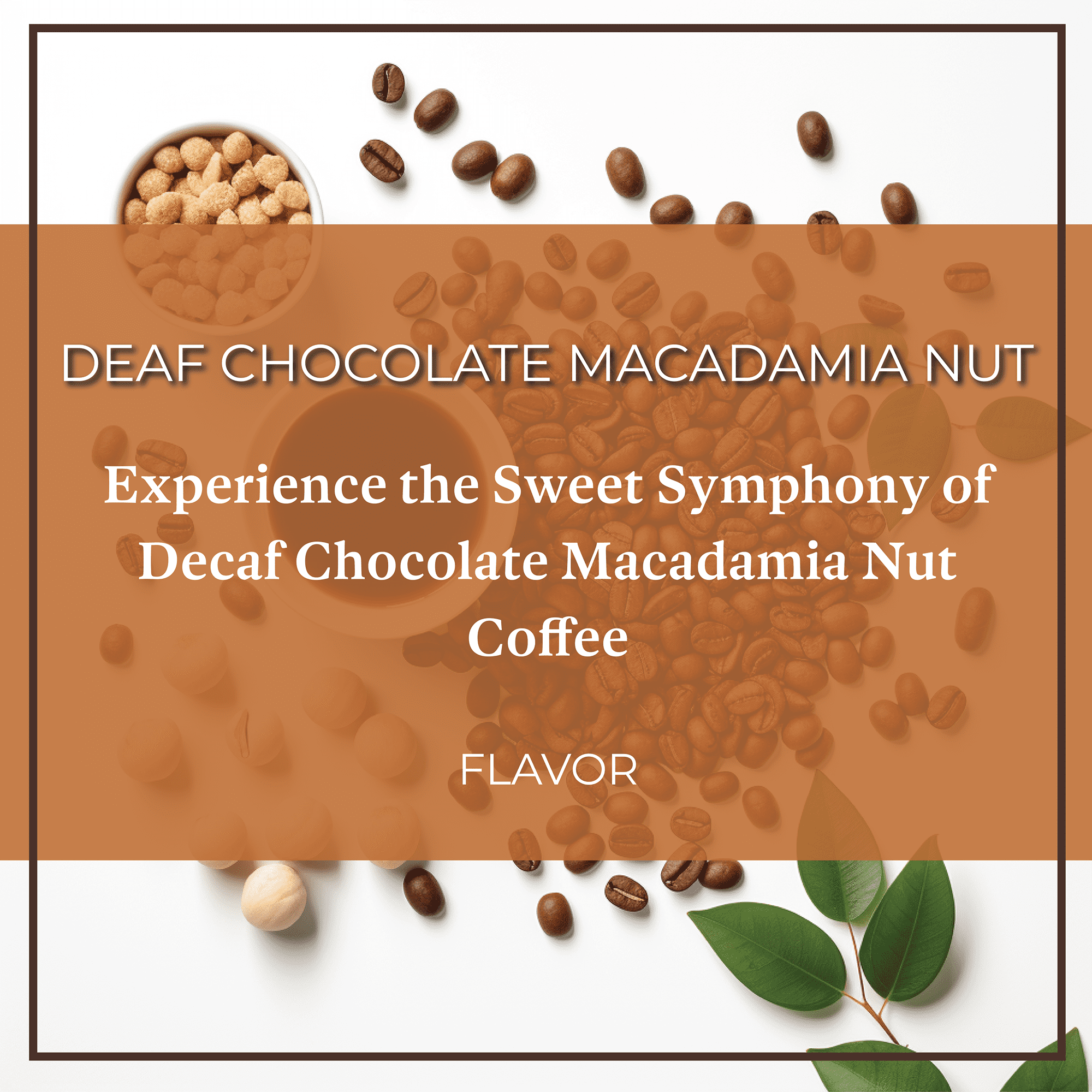 San Diego Coffee Chocolate Macadamia Nut DECAF, Medium Roast, Ground Coffee, 16-Ounce Bag