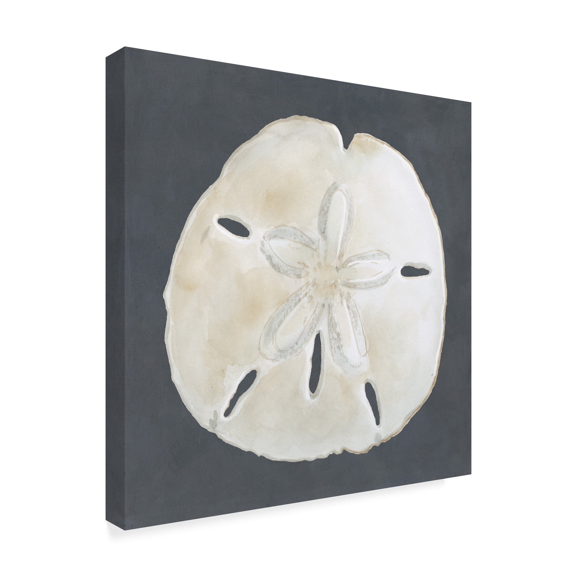 Trademark Fine Art 'Shell on Slate II' Canvas Art by Megan Meagher